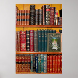 books library bookshelf bookshop poster
