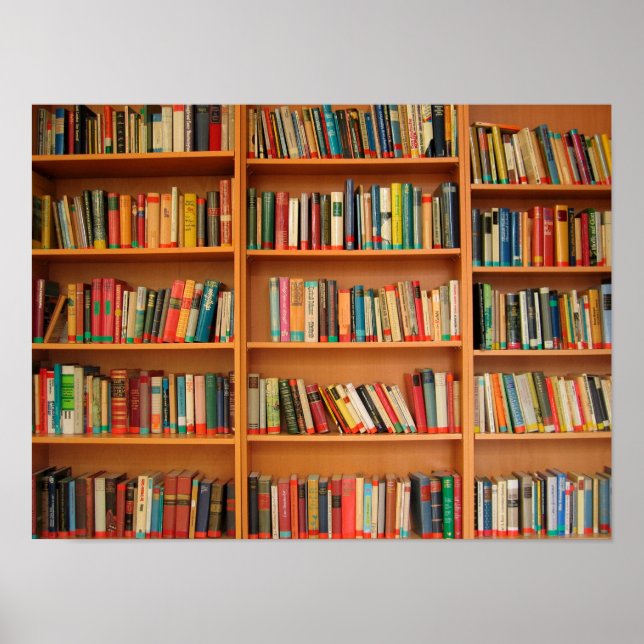 Books on Bookshelf Background Poster (Front)