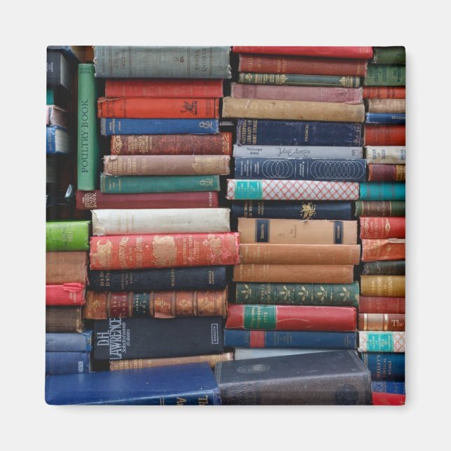 Books Read Love Old Books Magnet (Front)