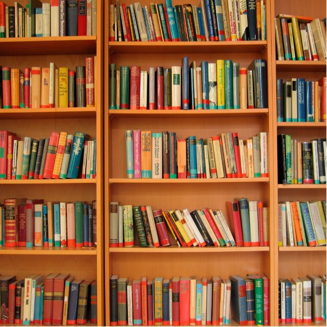 Bookshelf Books Library Bookworm Reading Photo Sculpture Magnet (Front)