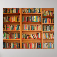 Bookshelf Books Library Bookworm Reading
