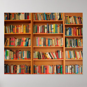 Bookshelf Books Library Bookworm Reading Poster