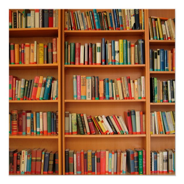 Bookshelf Books Library Bookworm Reading Poster (Front)