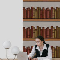 Bookshelves Trompe l'oeil 