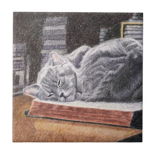 Bookstore Cat Tile