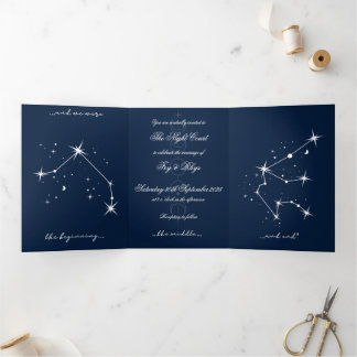  BookTok Romantacy Wedding Invite - Aries/Aquarius