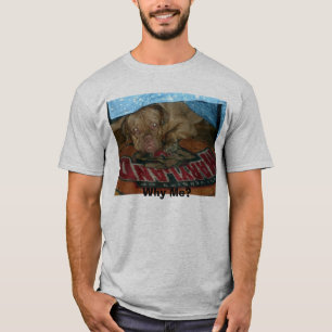 Boomer 006, Why Me? T-Shirt