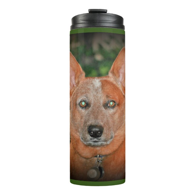 "Boomer" Red Heeler Dog Thermal Tumbler (Front)