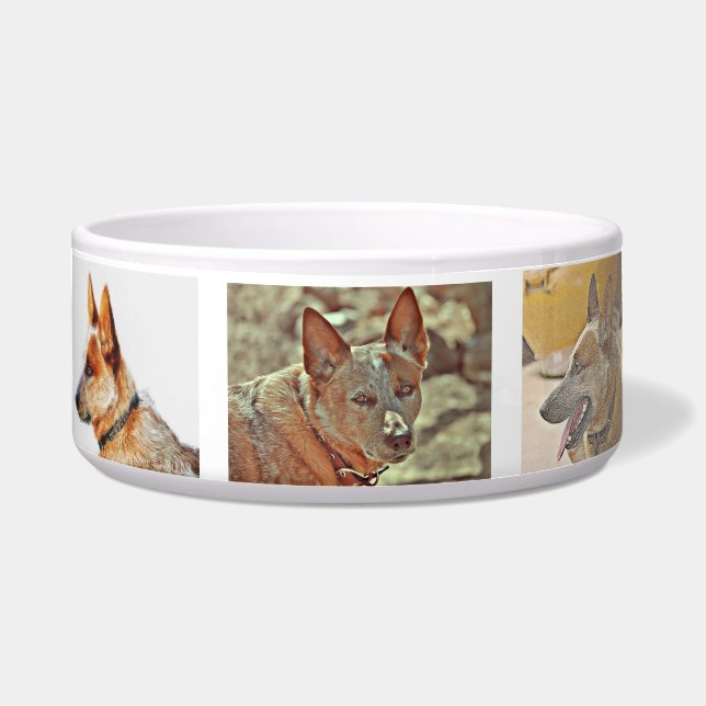 "Boomer" Red Heeler Large Dog Bowl (Front)