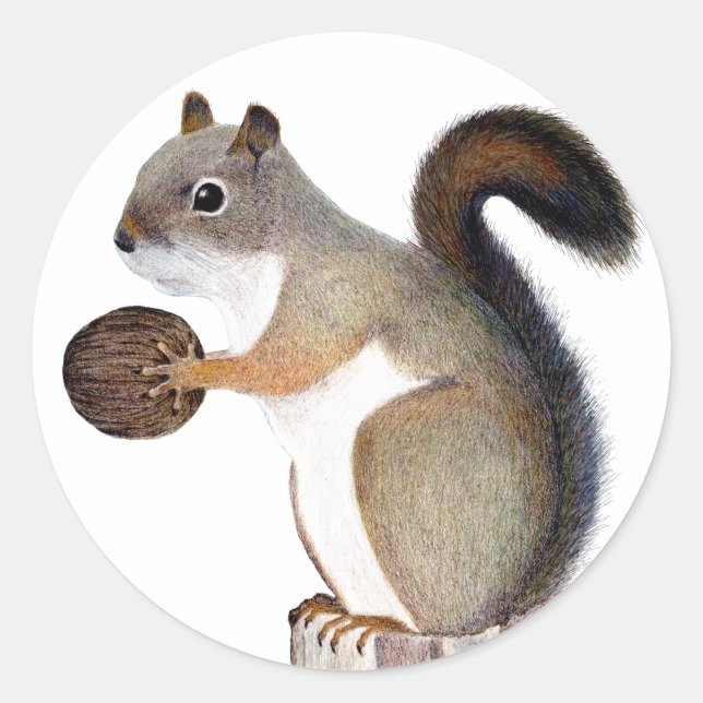 Boomer Squirrel Classic Round Sticker (Front)