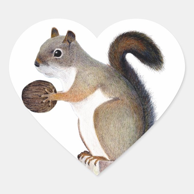 Boomer Squirrel Heart Sticker (Front)