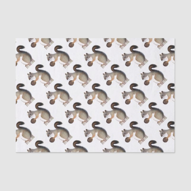 Boomer Squirrel Tissue Paper (Front)