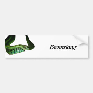 Boomslang Bumper Sticker