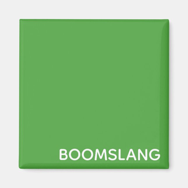 Boomslang green colour name magnet (Front)