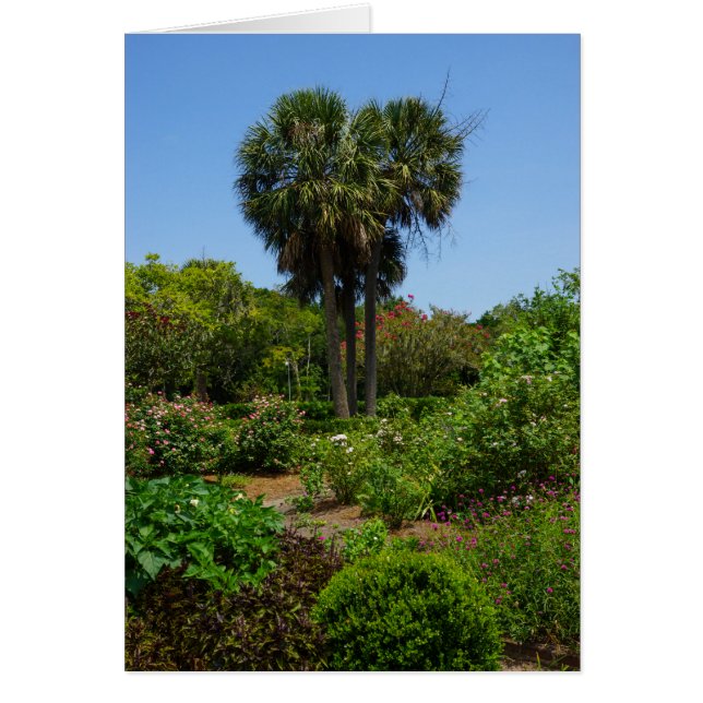 Boone Hall Garden (Front)