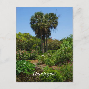 Boone Hall Garden Postcard
