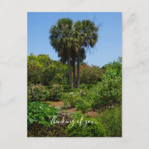 Boone Hall Garden Thinking Of You Postcard
