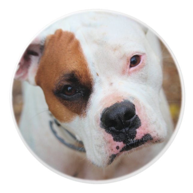 Boop Ceramic Knob (Front)