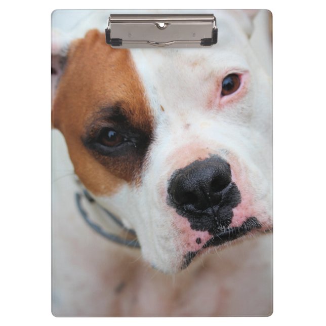 Boop  clipboard (Front)