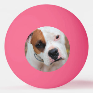 Boop Ping Pong Ball