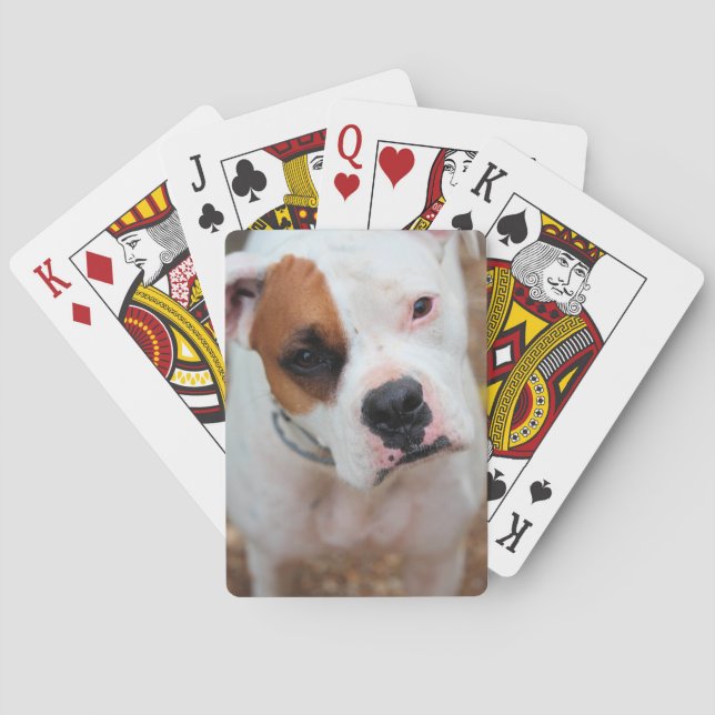 Boop Playing Cards (Back)