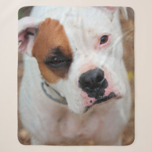 Boop Sherpa Blanket