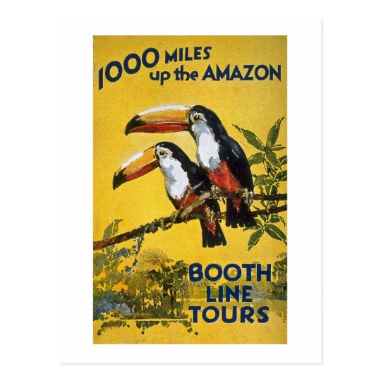 Booth Line Tours 1,000 Miles Up the Amazon Macaws Postcard