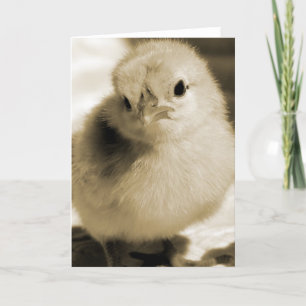 Boot's Chick in Sepia All Occasions Blank Inside Card