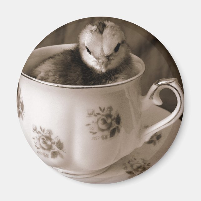 Boots In A Tea Cup Magnet (Front)