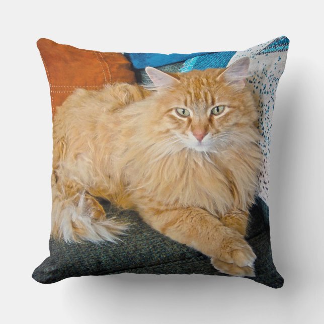 Boppy Cushion (Front)