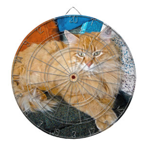 Boppy Dartboard