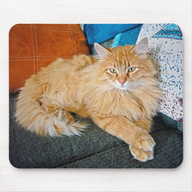 Boppy Mouse Mat (Front)