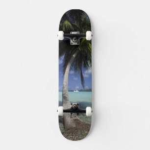 Bora Bora, French Polynesia Mt. Otemanu seen Skateboard