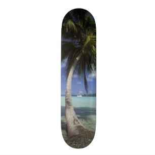 Bora Bora, French Polynesia Mt. Otemanu seen Skateboard