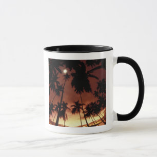 Bora Bora, French Polynesia Sunset shot through Mug
