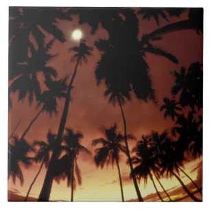 Bora Bora, French Polynesia Sunset shot through Tile