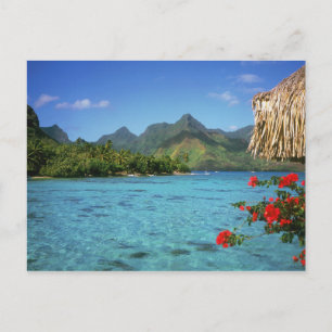 Bora Bora Island, French Polynesia Postcard