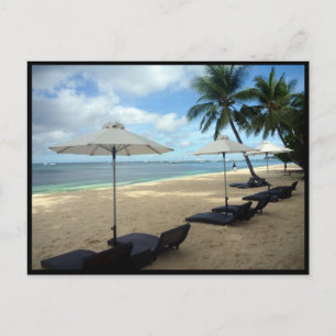 boracay sun lounges postcard