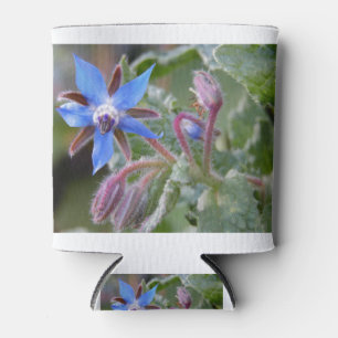 Borage Star Flower Can Cooler