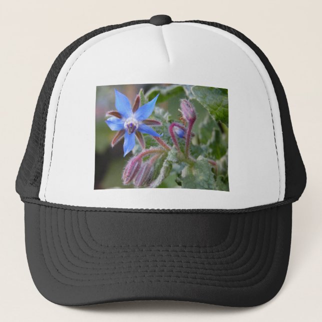 Borage Star Flower Trucker Hat (Front)