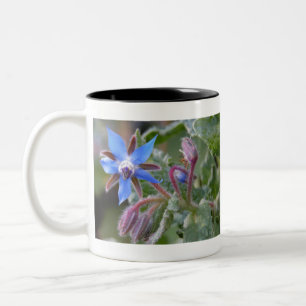 Borage Star Flower Two-Tone Coffee Mug