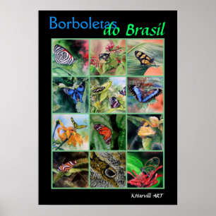 Borboletas do Brasil Poster