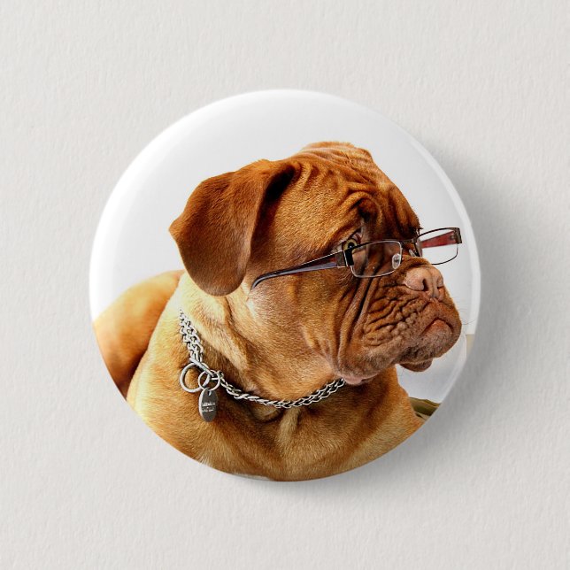Bordeaux Mastiff, French Mastiff Bordeauxdog Gift 6 Cm Round Badge (Front)