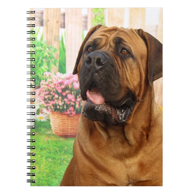Bordeaux Mastiff Notebook (Front)