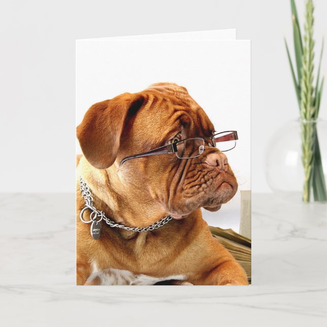 Bordeauxdog Holiday Card (Front)