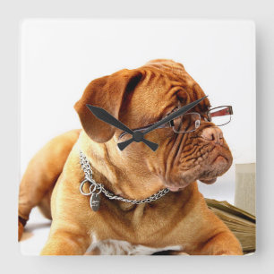 Bordeauxdog Square Wall Clock