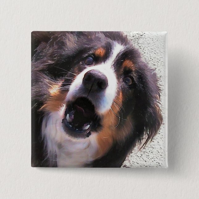 BORDER COLLIE 15 CM SQUARE BADGE (Front)