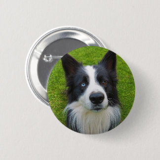 Border Collie 6 Cm Round Badge