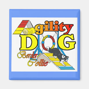 Border Collie Agility Gifts Magnet