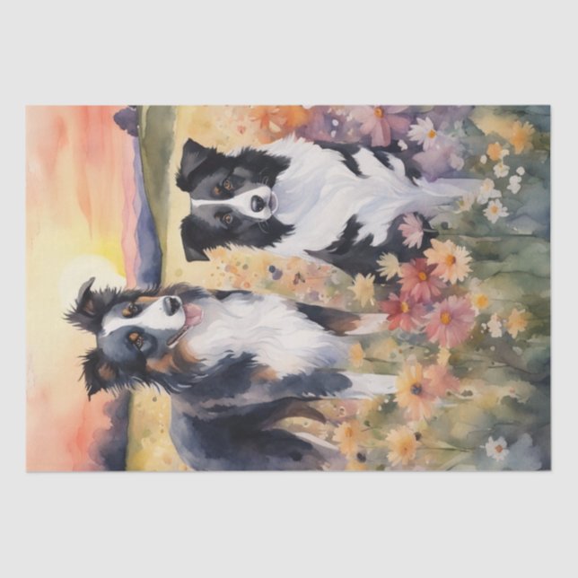 Border Collie and Australian Shepard decoupage Tissue Paper (Front)